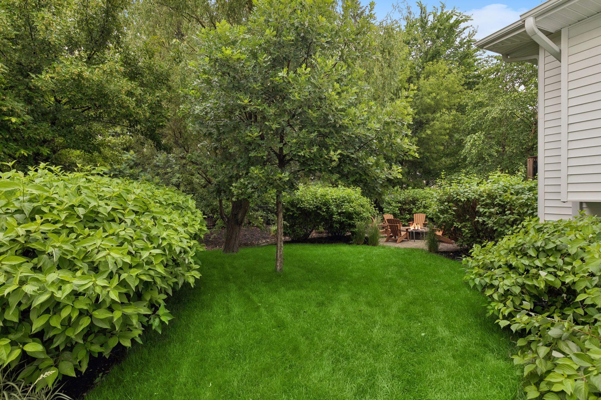 Beautiful landscaping with an eye to privacy, you'll feel surrounded by healthy trees and plants.