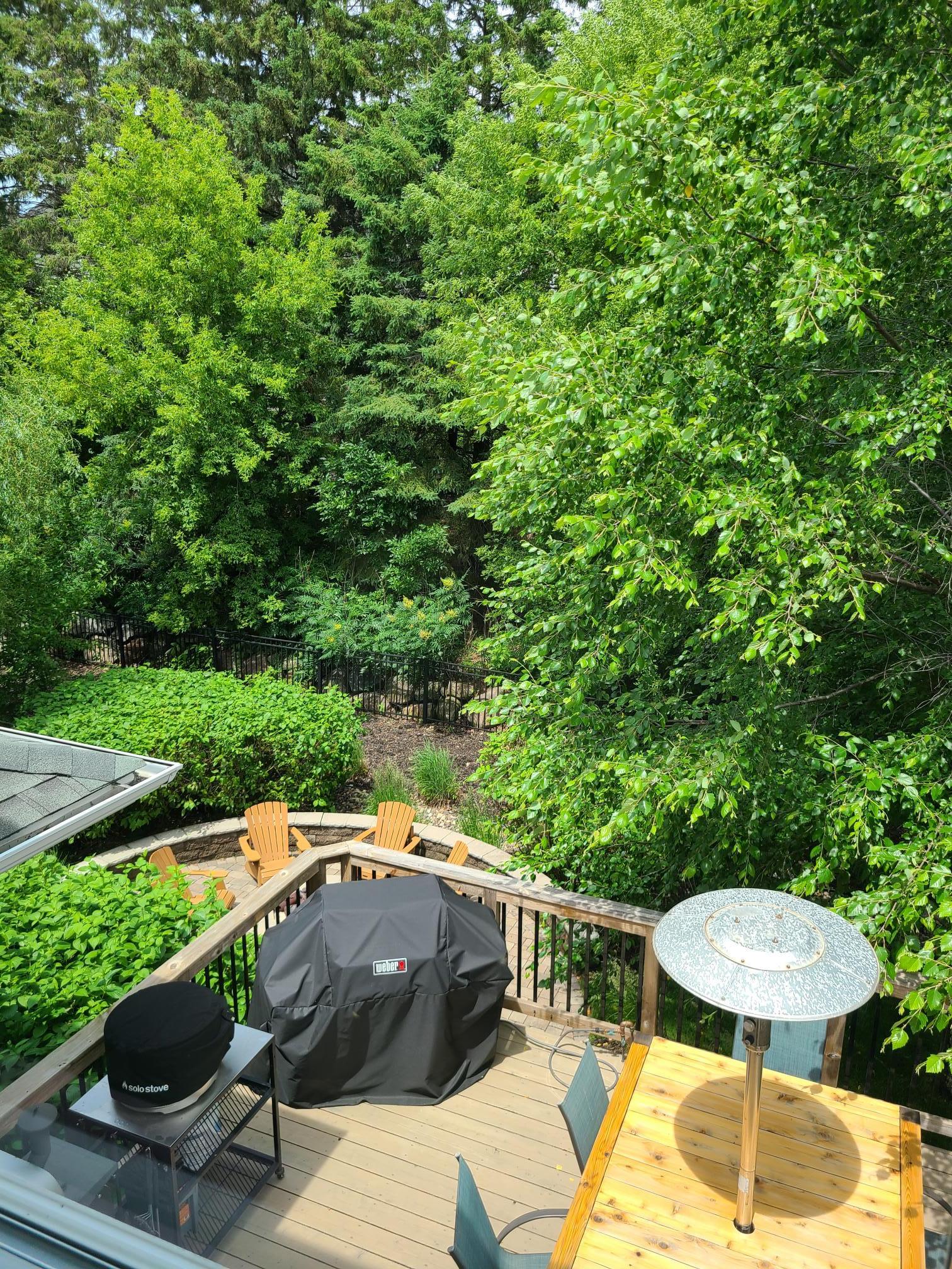 View of backyard from upper level windows