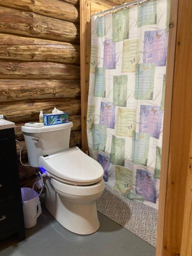 Bidet toilet