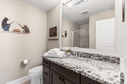 Vaulted Primary Suite w/ ensuite Bath featuring tiled shower, granite counters, 12x24 tile + walk-in closet.