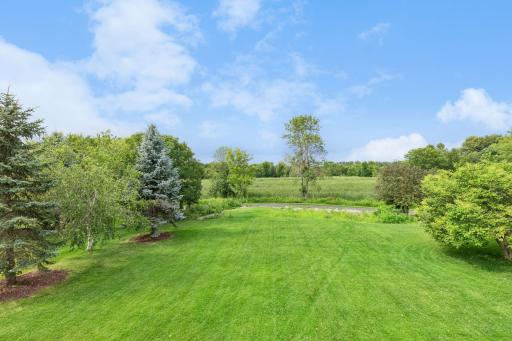 Spacious Backyard