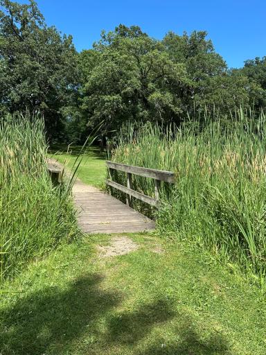 Enjoy nature at the park