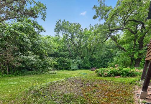 16266 172nd Avenue SE, Big Lake, MN 55309