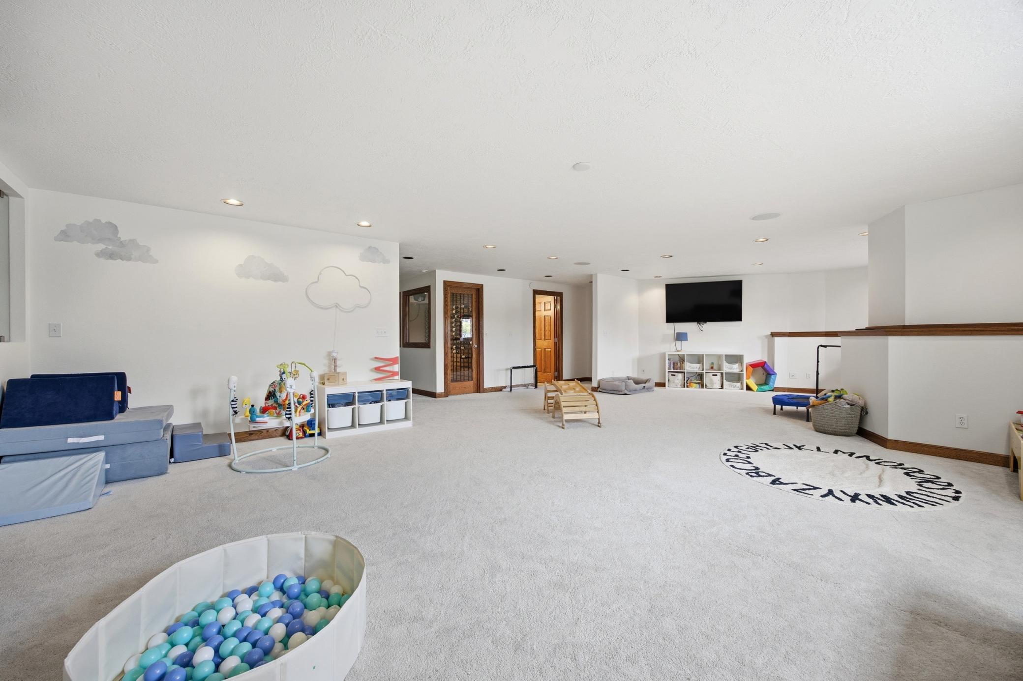 Spacious Lower Level Living Room