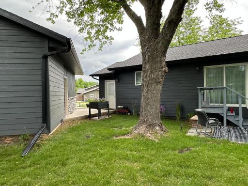 Backyard.jpeg