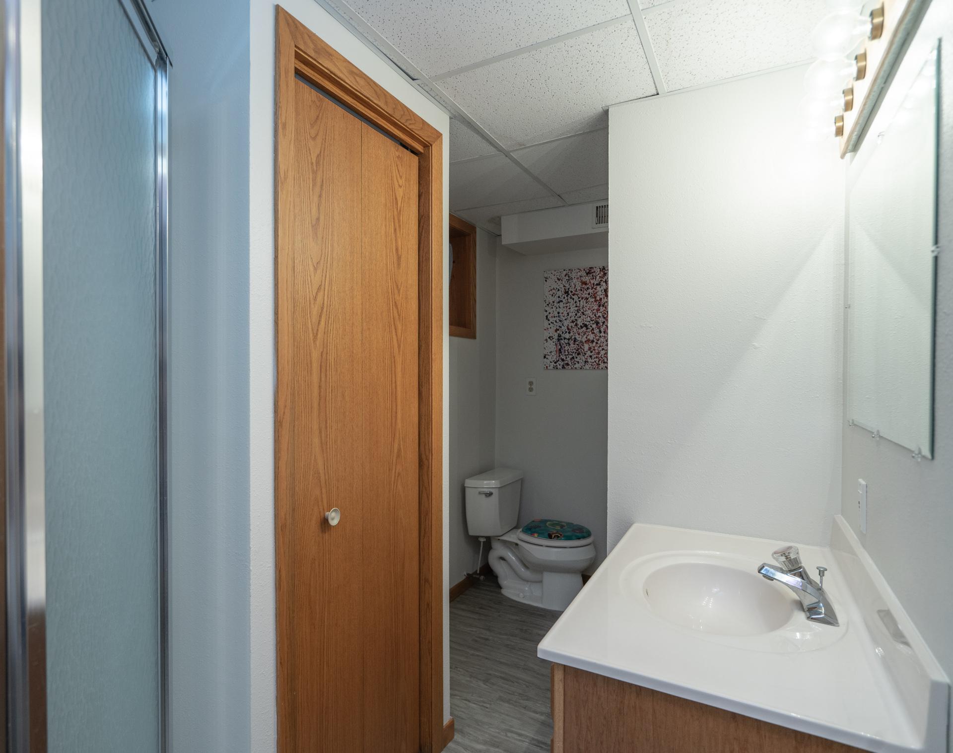 Lower Level Bathroom