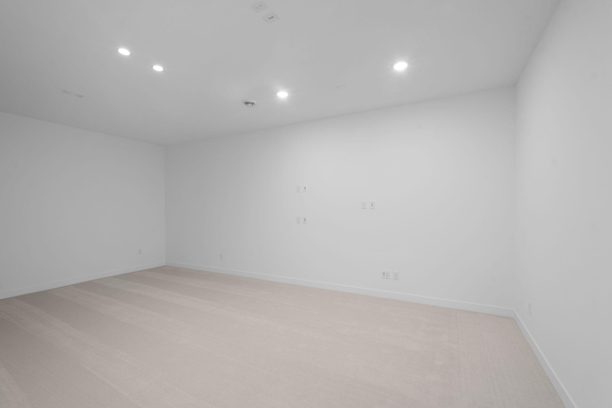 Future theater room/golf