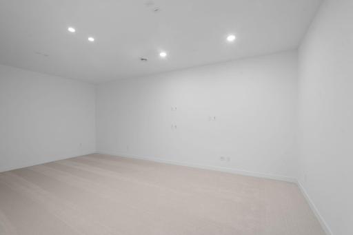 Future theater room/golf