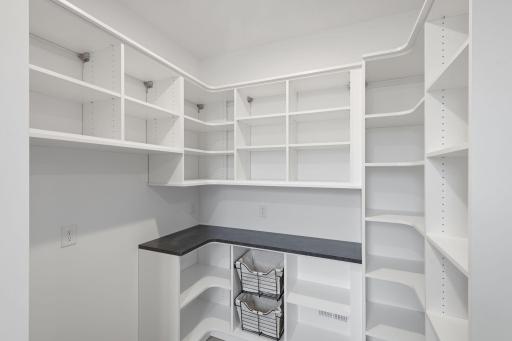 Upgraded pantry with built-ins
