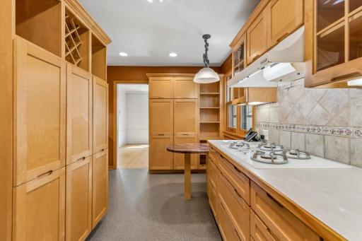 Gourmet kitchen designed and built by North Star Kitchen.