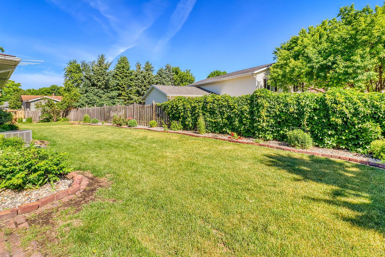 Backyard1_2-1280.JPG