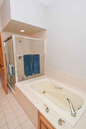 Separate Tub & Shower!!!