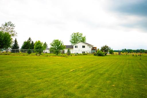 Back yard, and fenced in area