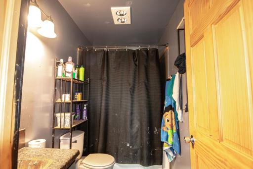 Lower level full bathroom