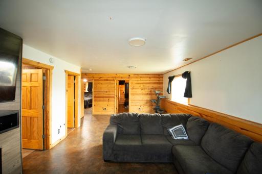 Large lower level family room