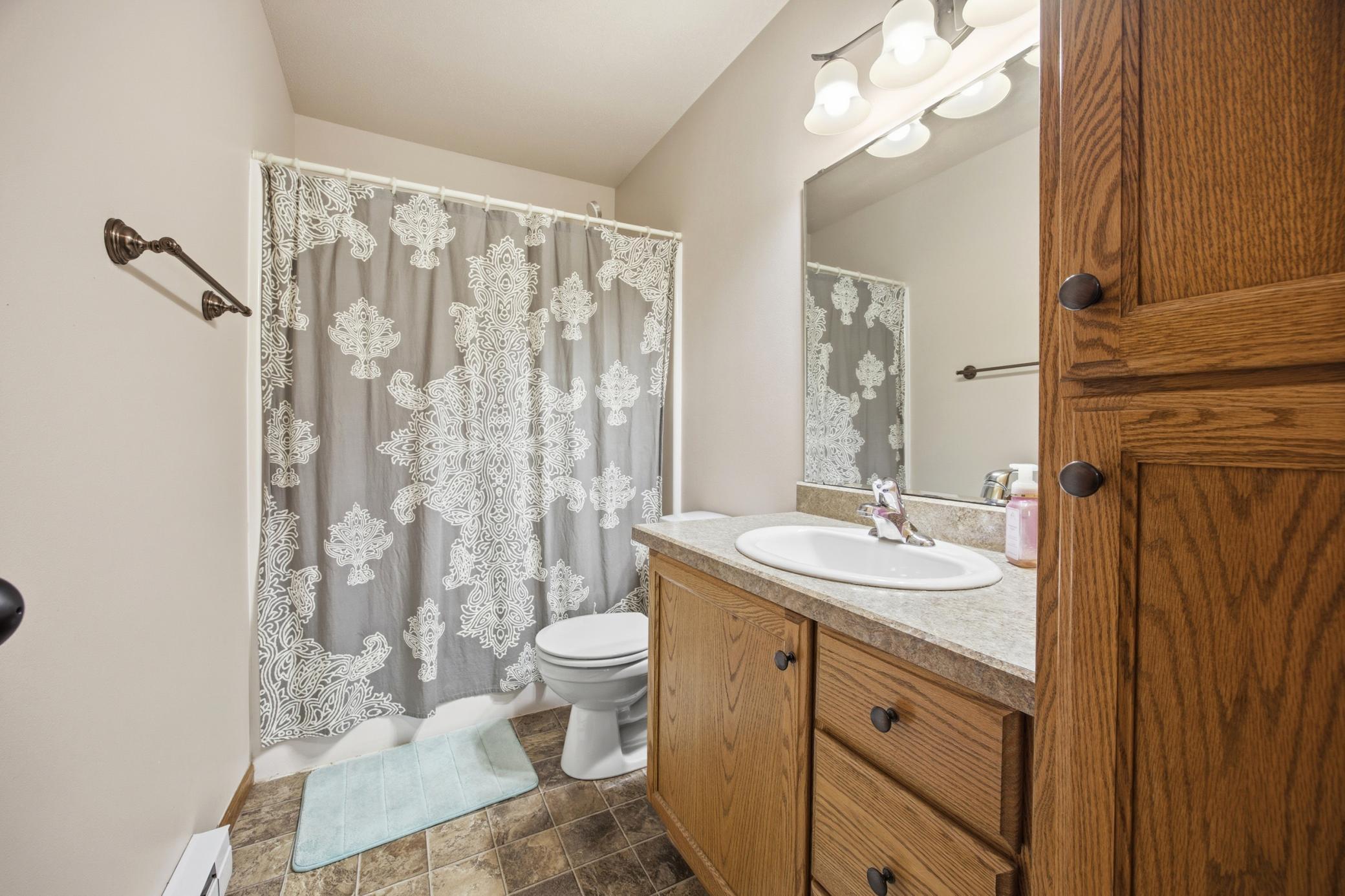 Lower Level Bathroom