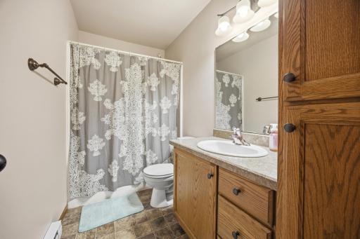 Lower Level Bathroom