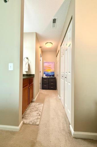 Separate vanity with mirror, extensive primary closets, and shower + toilet down on the left.