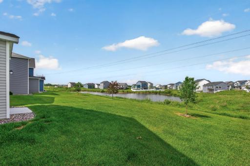 Backyard/ pond