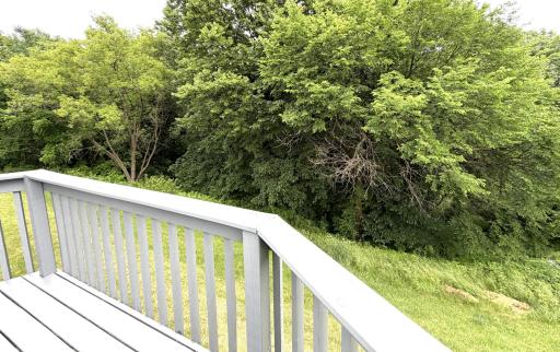 189 Mcintosh E, La Crescent, MN 55947