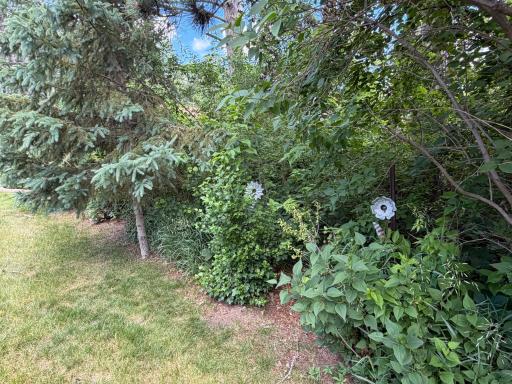 4474 Griffin Circle, Pequot Lakes, MN 56472