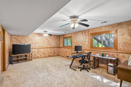 Large lower level family room and flex space! Newer carpet, ceiling fans.