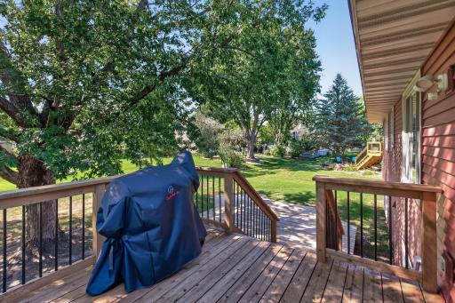 Nice deck space for friends and grilling!