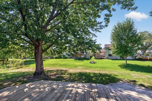 Large backyard!