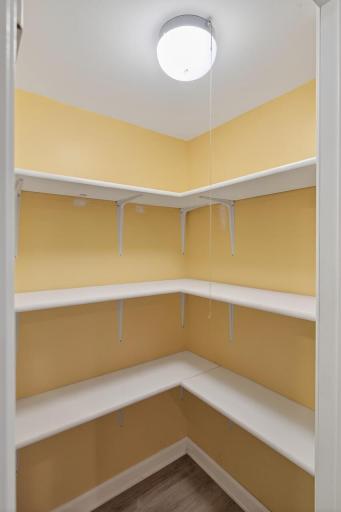 Lower Level Kitchen Pantry