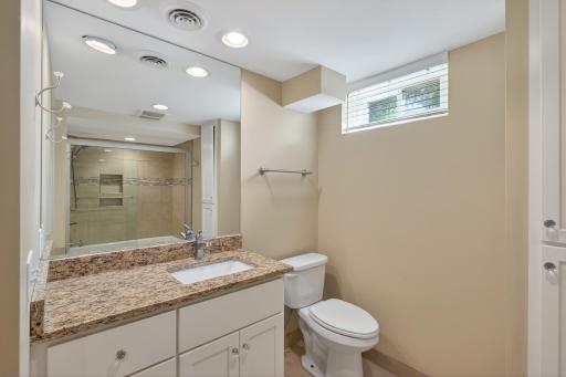 Lower Level Bathroom