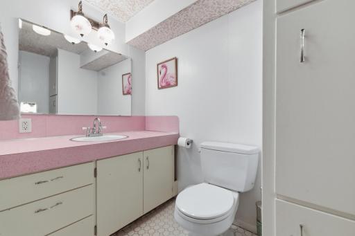 Lower Level Half Bath