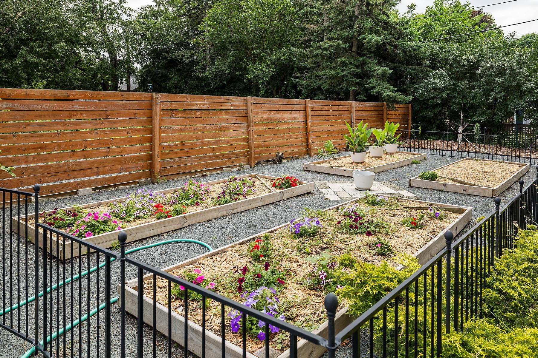 Beautiful gardens in back yard