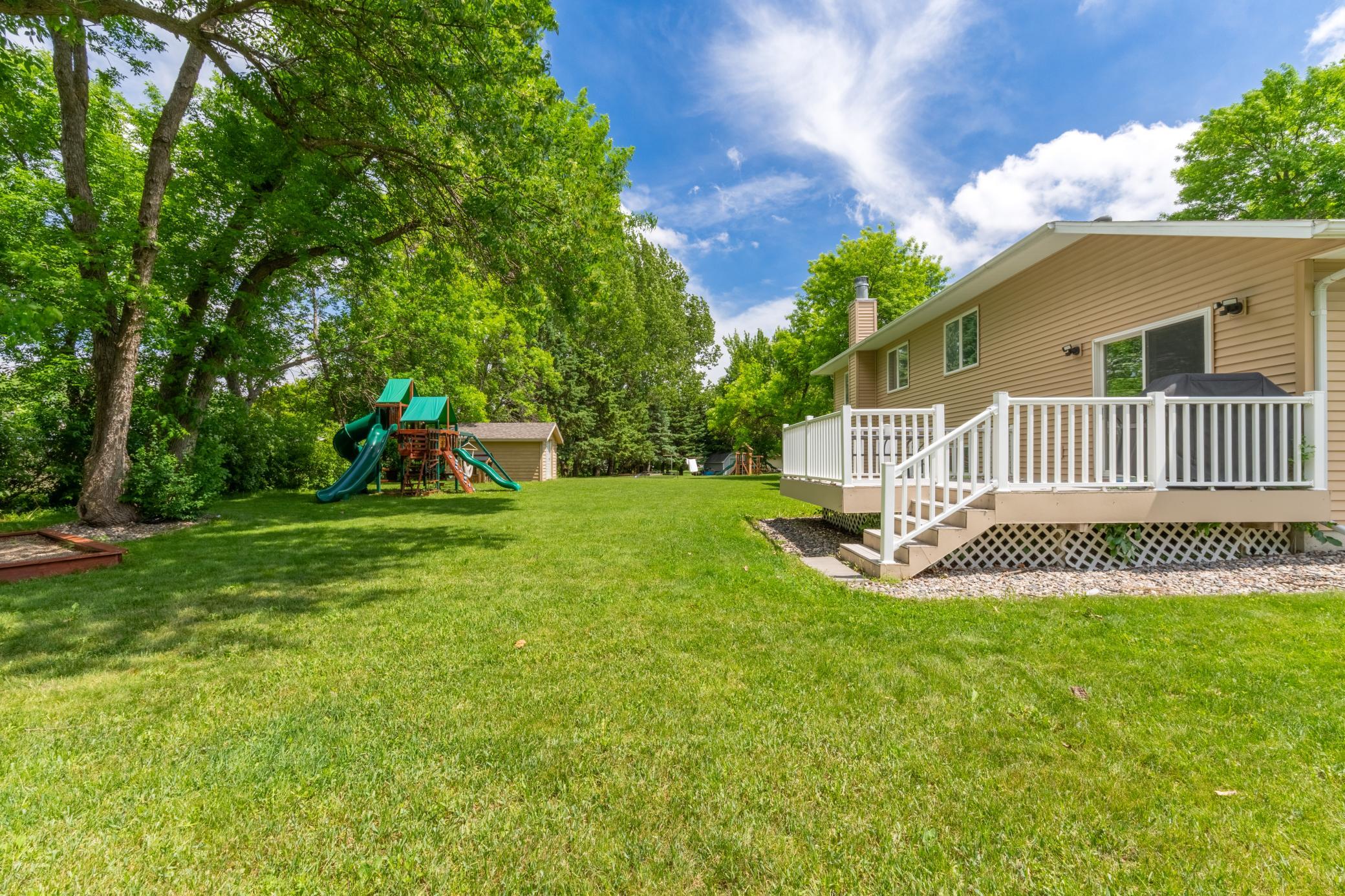 Backyard 4.jpg