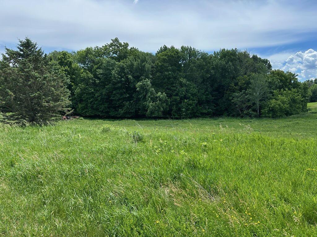 Beautiful mix of woods and open land.