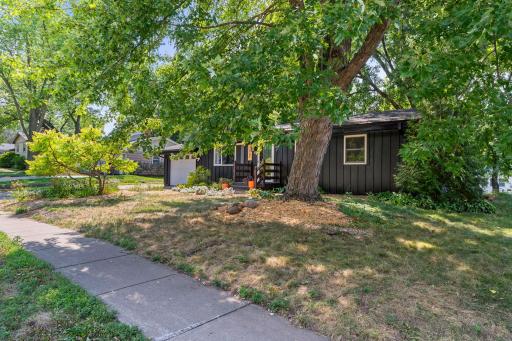 Mature trees frame the front yard