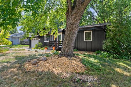 Established trees provide shade and character
