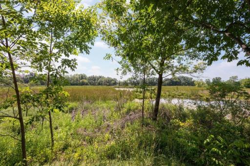 408 Parkers Lake Road, 206, Wayzata, MN 55391