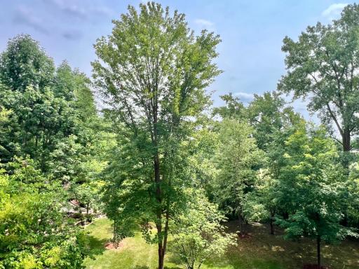 408 Parkers Lake Road, 206, Wayzata, MN 55391