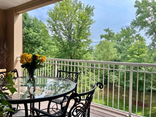 408 Parkers Lake Road, 206, Wayzata, MN 55391