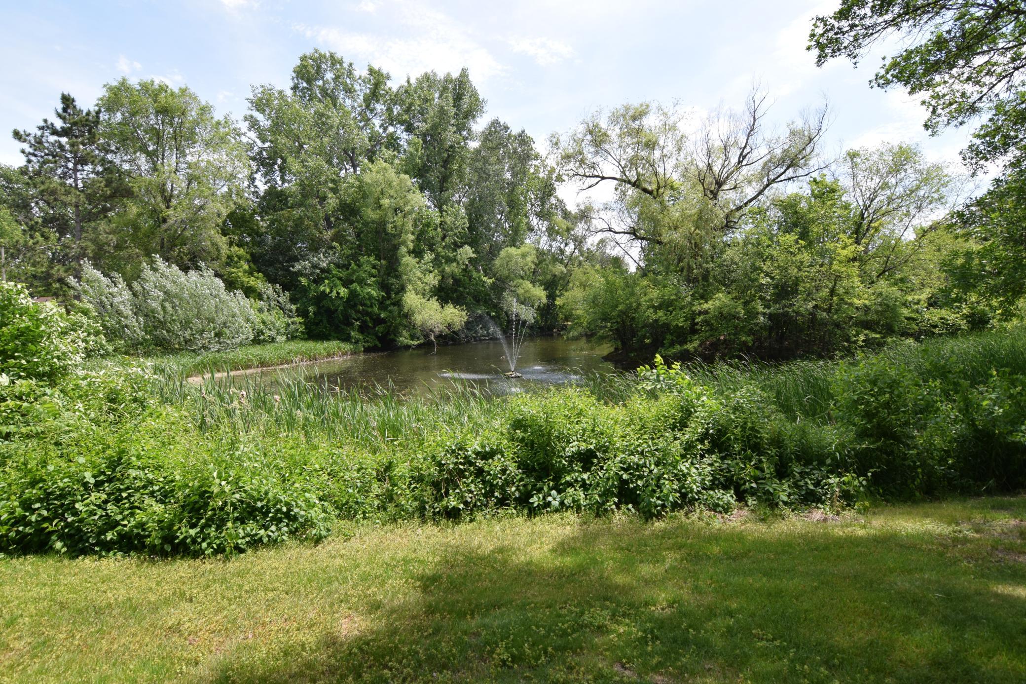 DSC_0132.JPG