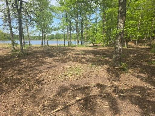 Lot 3 County Road 30, Crosby, MN 56441