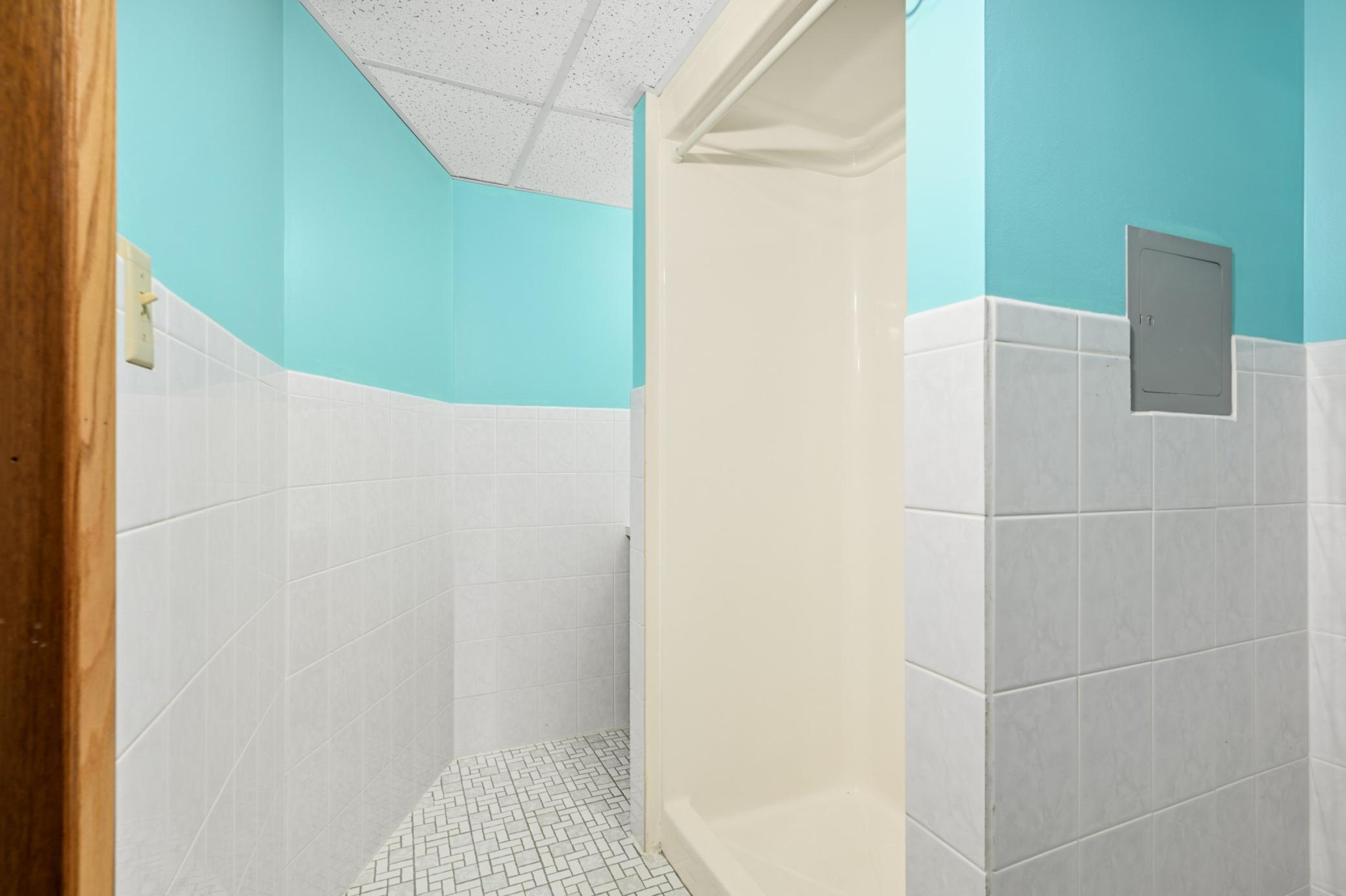 Lower Level Bathroom