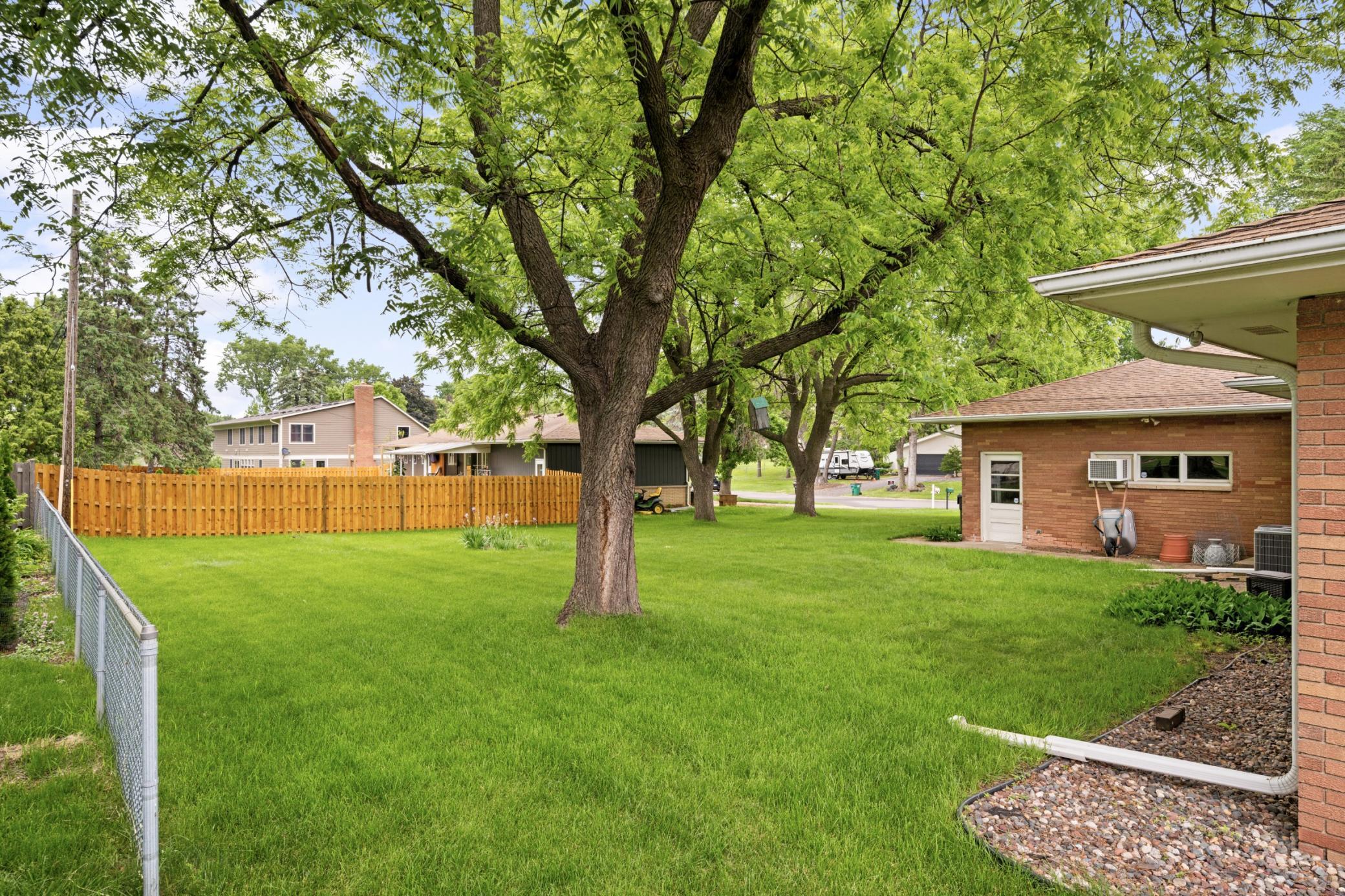 Big n Beautiful Back Yard