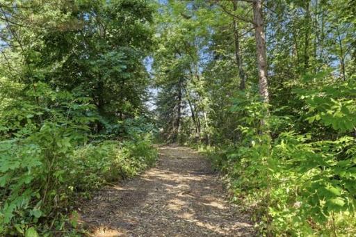 Trail in the woods