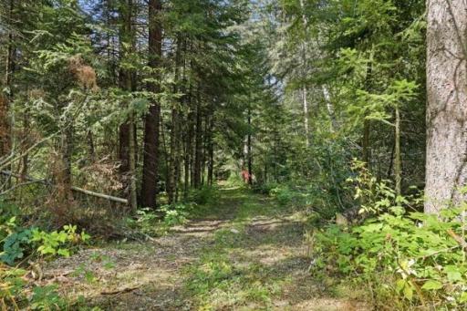 Trail in the woods