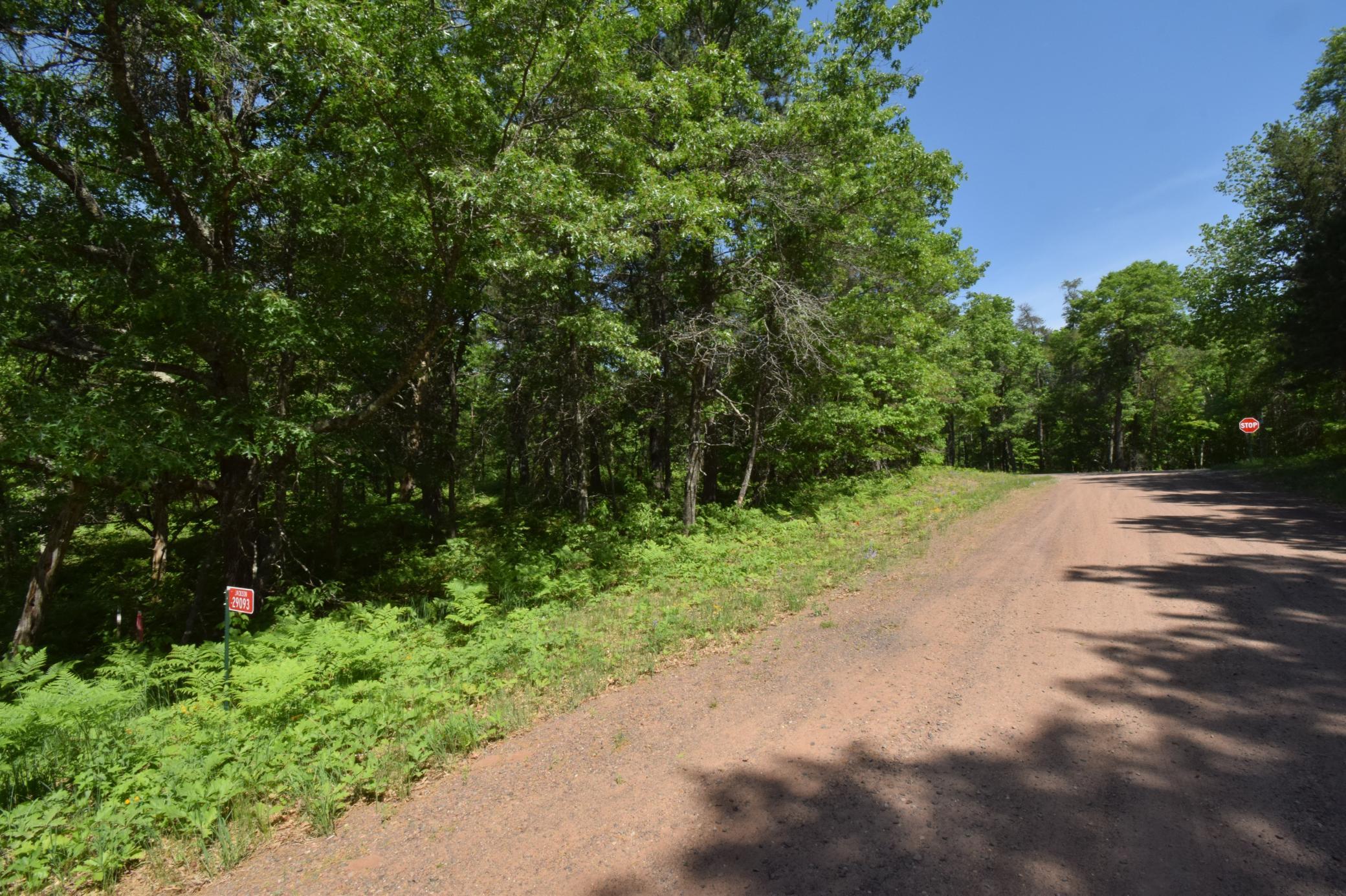 DSC_0171.JPG