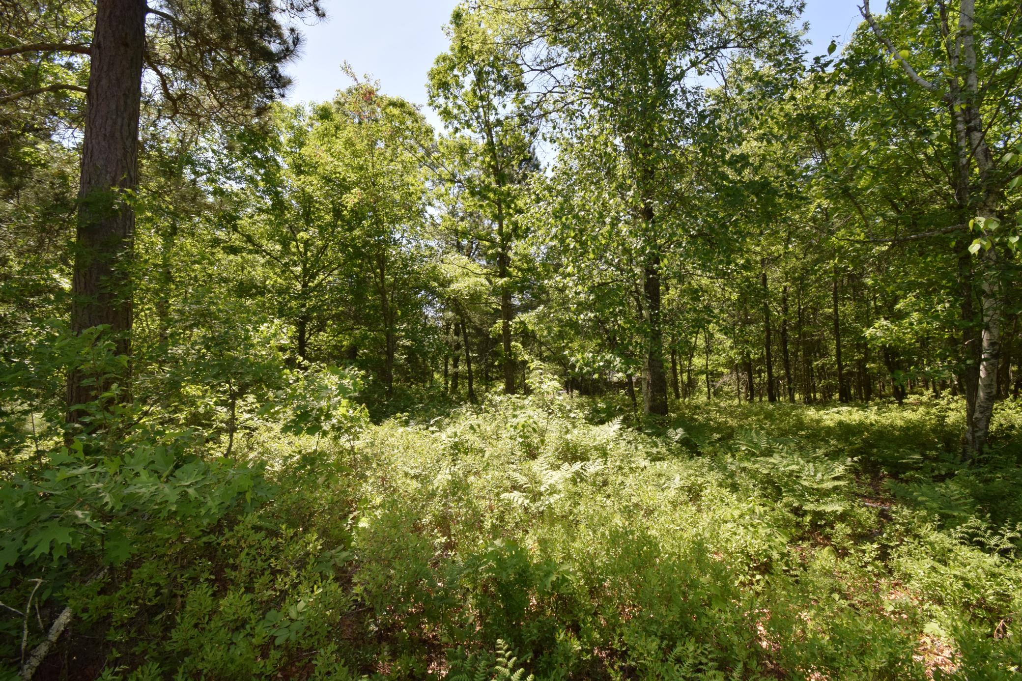 DSC_0177.JPG