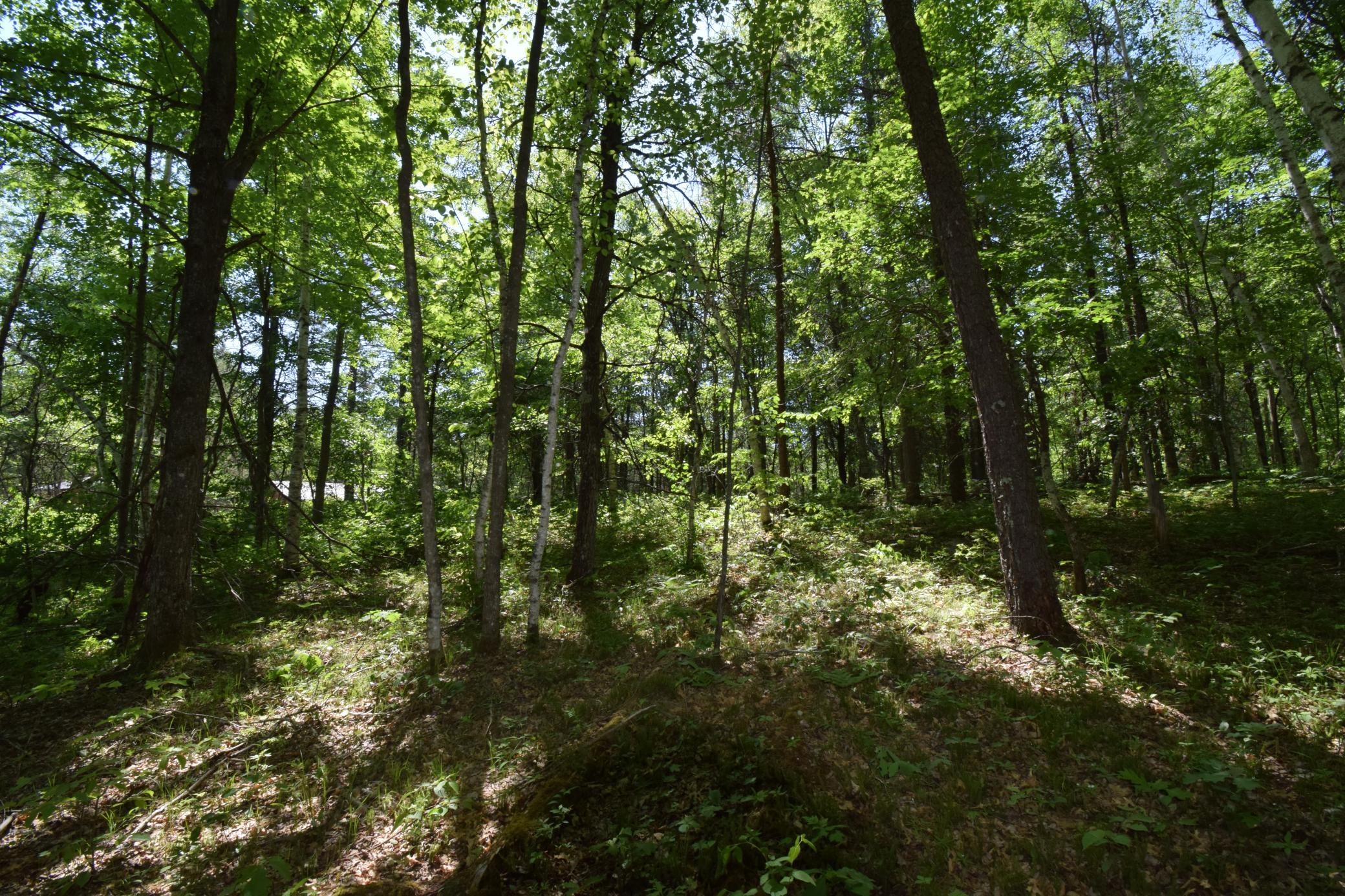 DSC_0143.JPG