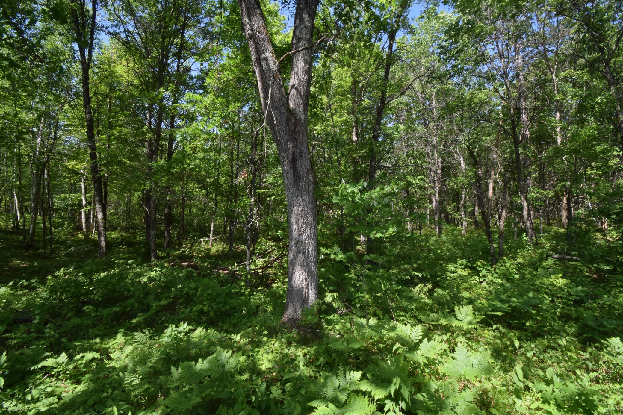 DSC_0138.JPG