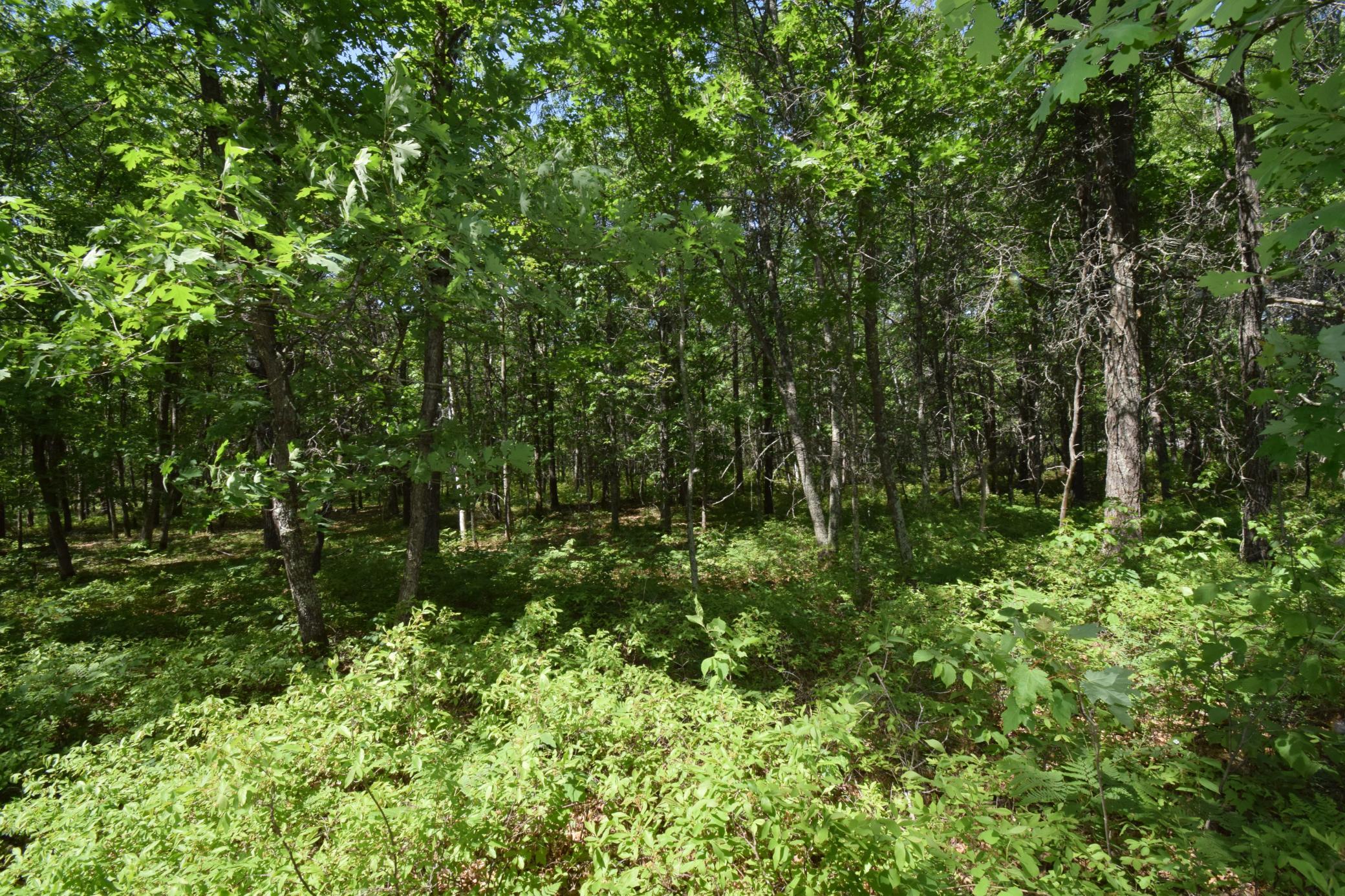 DSC_0178.JPG